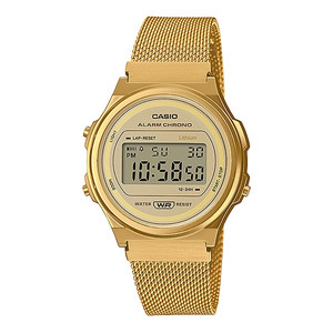 CASIO A-171WEMG-9A