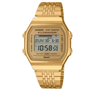 CASIO ABL-100WEG-9A